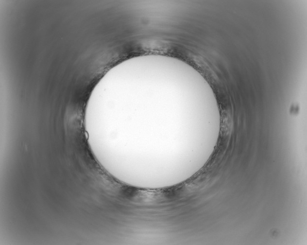 X0000090430713200708102005