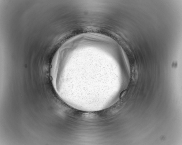 X0000090430714200708102005