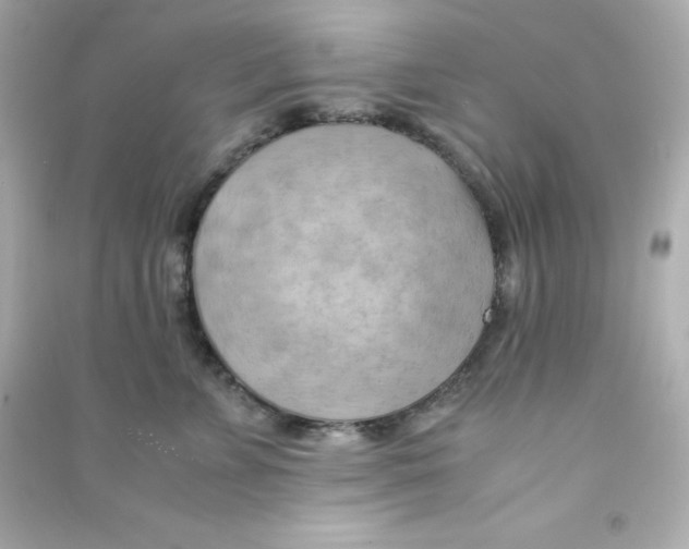 X0000090430715200708102005