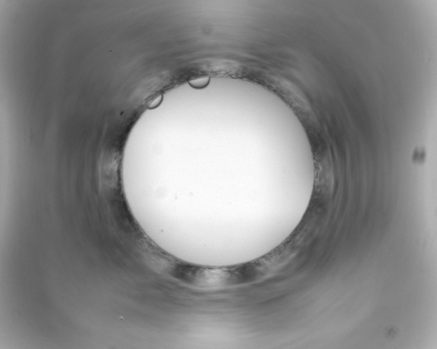 X0000090430717200708102005