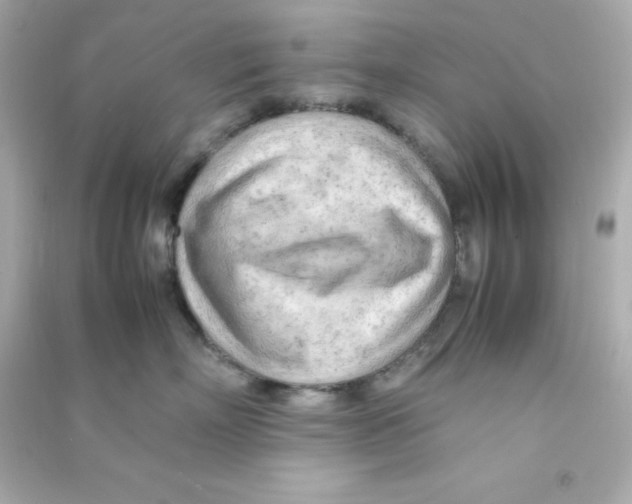 X0000090430718200708102005