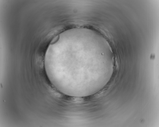 X0000090430719200708102005