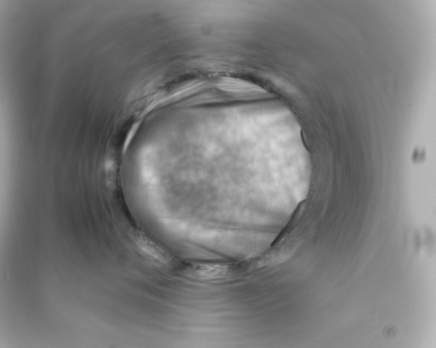 X0000090430720200708102005