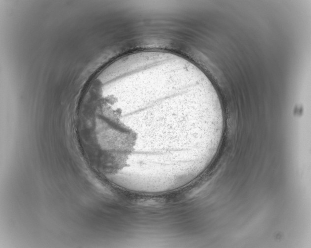 X0000090430721200708102004