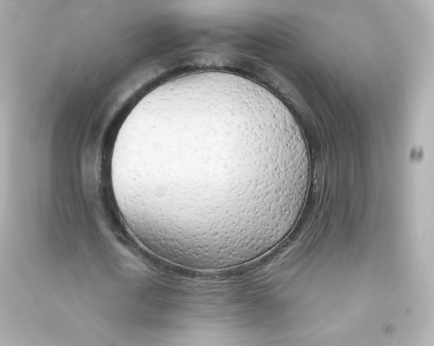X0000090430722200708102004