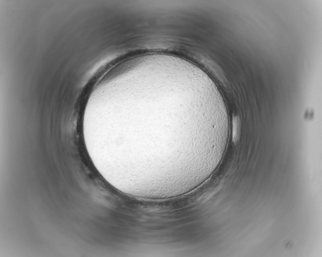 X0000090430723200708102004