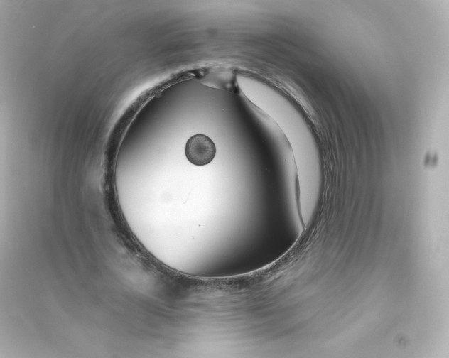 X0000090430724200708102004
