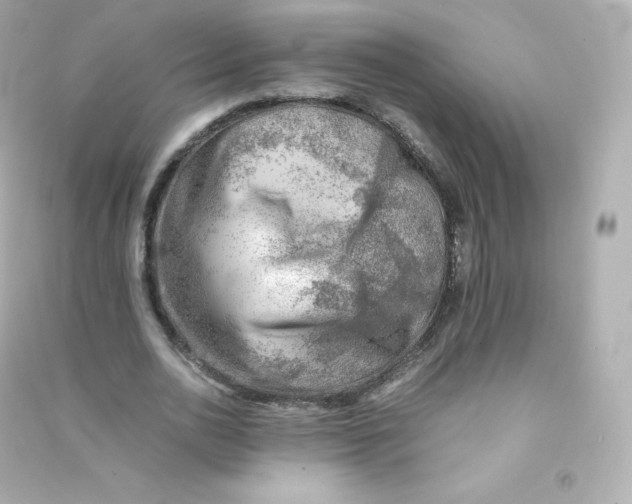 X0000090430726200708102004