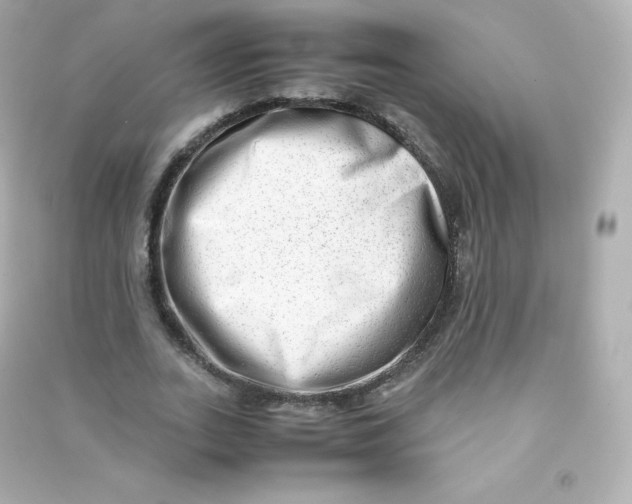 X0000090430727200708102004