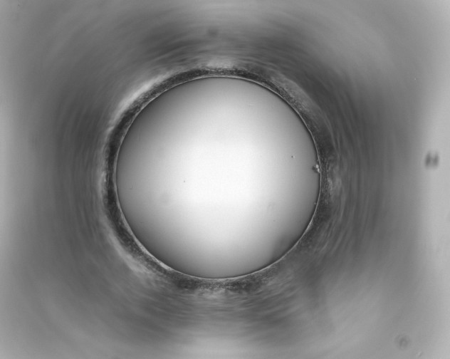 X0000090430728200708102004