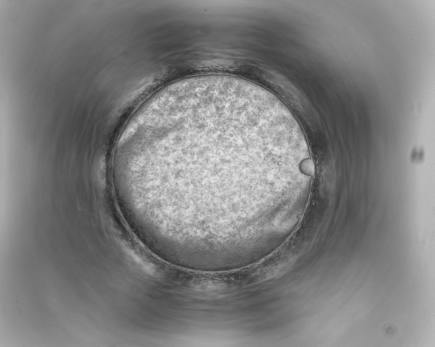 X0000090430729200708102004