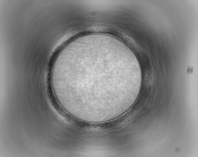 X0000090430730200708102004