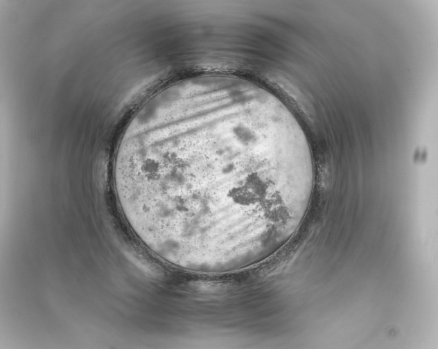 X0000090430733200708102004