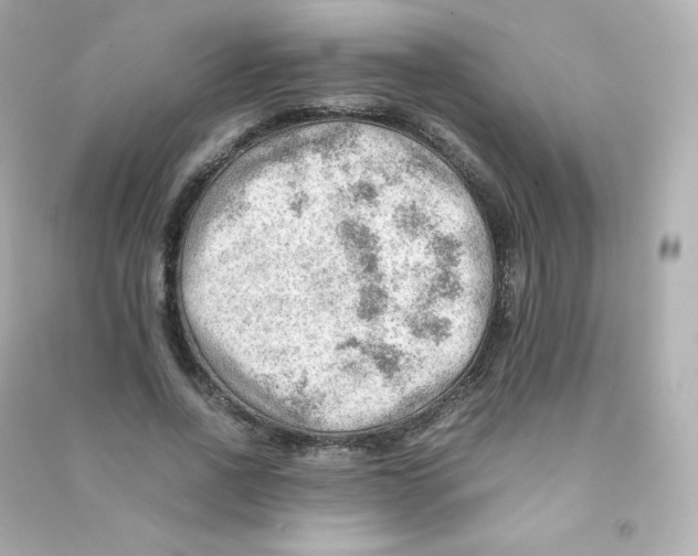 X0000090430734200708102004