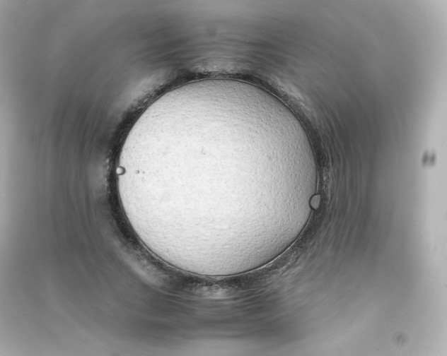 X0000090430735200708102004