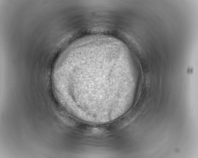 X0000090430737200708102004