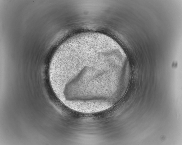 X0000090430738200708102004