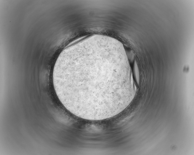 X0000090430739200708102004