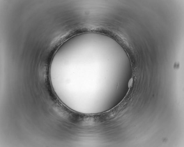 X0000090430740200708102004