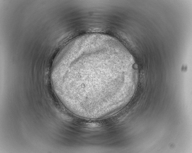 X0000090430741200708102004