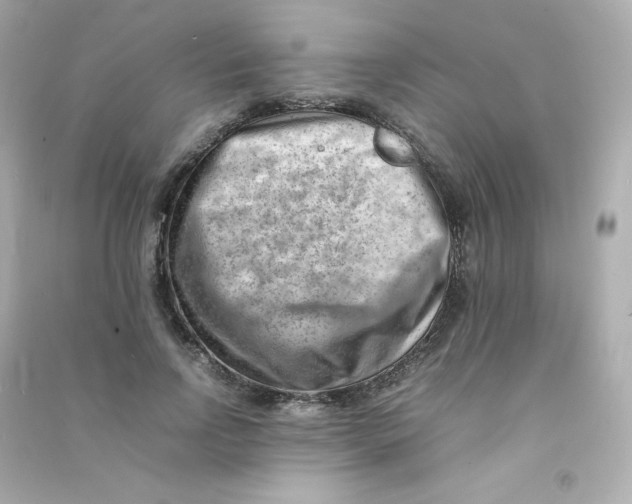 X0000090430742200708102005