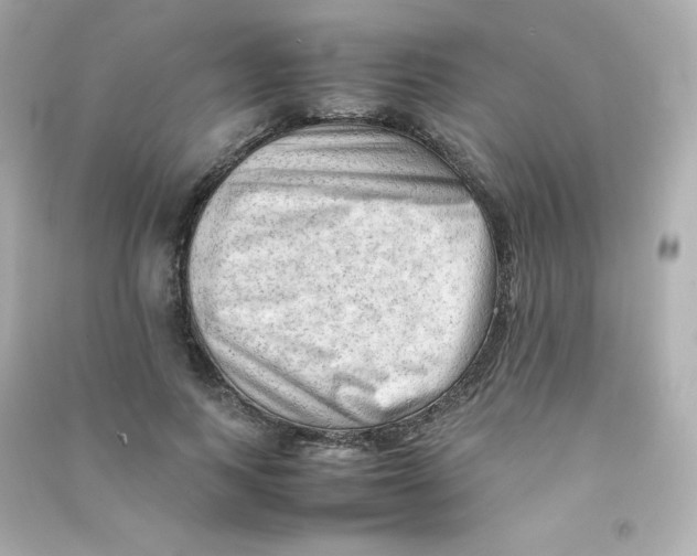 X0000090430743200708102005