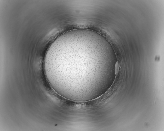 X0000090430744200708102005