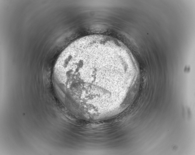 X0000090430745200708102005