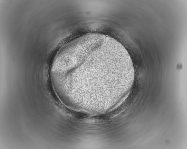 X0000090430746200708102005