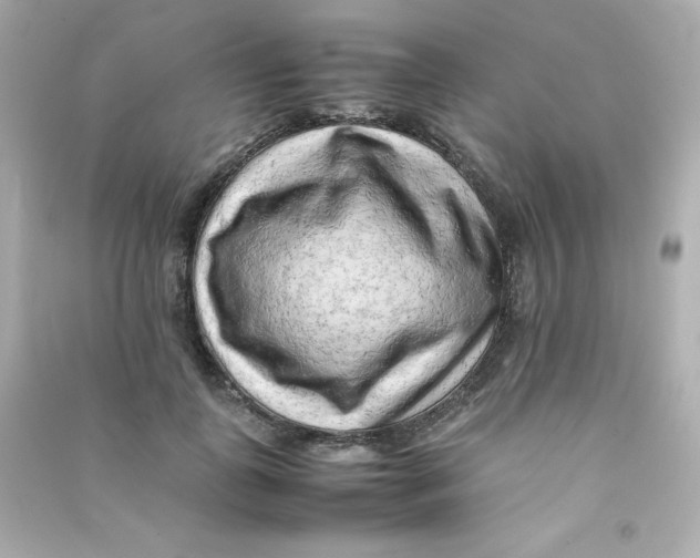 X0000090430747200708102005