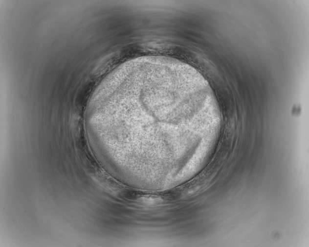 X0000090430749200708102005