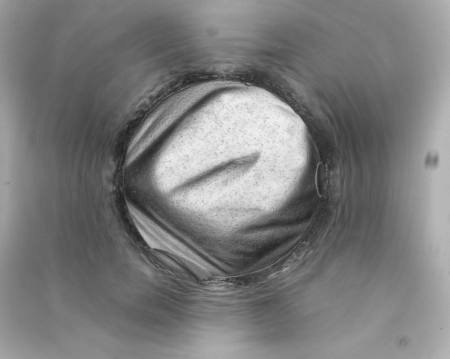 X0000090430750200708102005