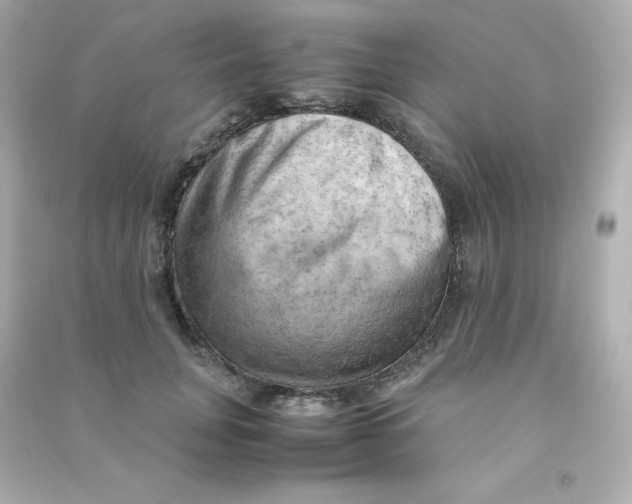 X0000090430751200708102005