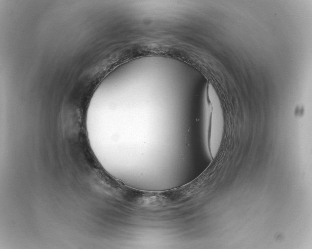 X0000090430752200708102005