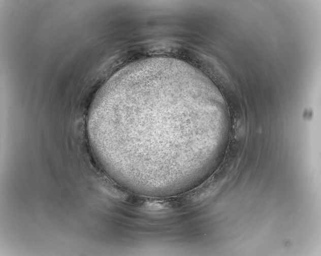 X0000090430753200708102005