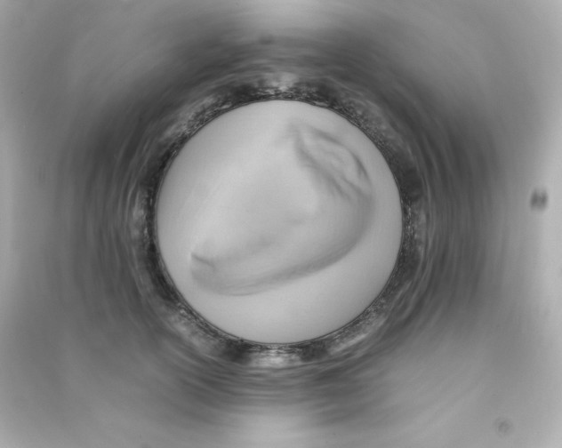X0000090430754200708102005