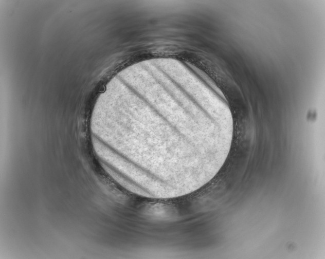 X0000090430755200708102005