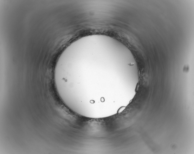 X0000090430756200708102005