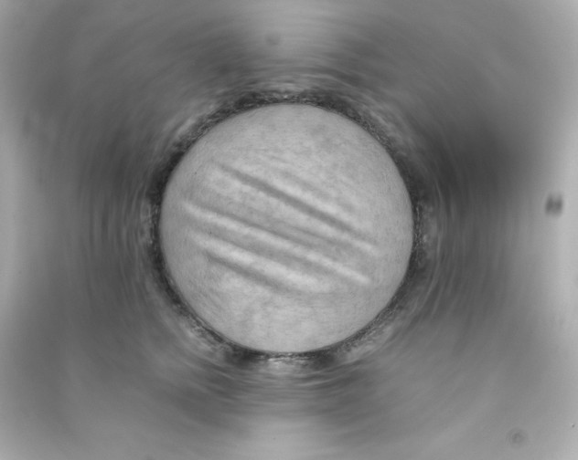 X0000090430758200708102005