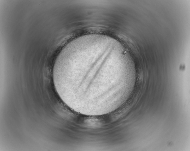 X0000090430759200708102005
