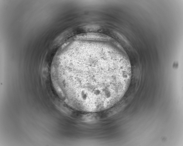 X0000090430761200708102005