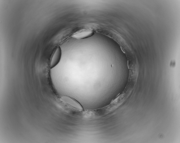 X0000090430762200708102005