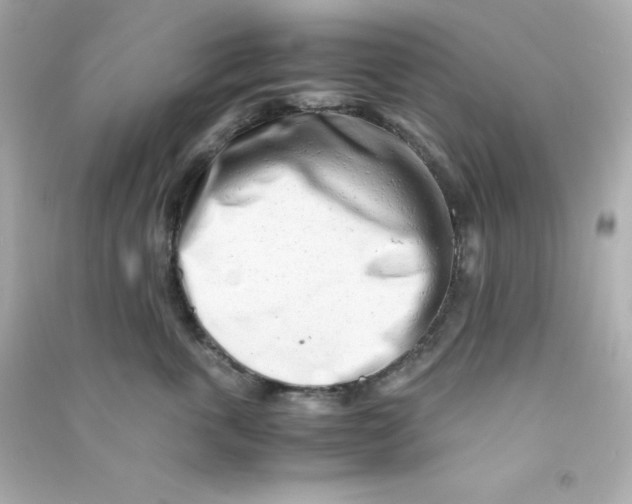 X0000090430763200708102005