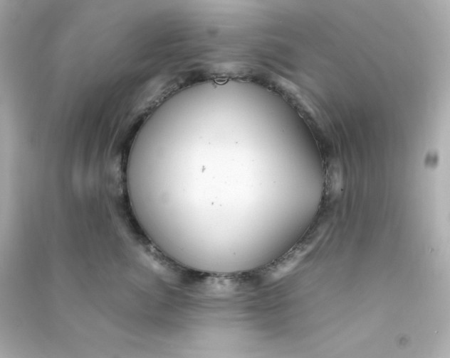 X0000090430764200708102005