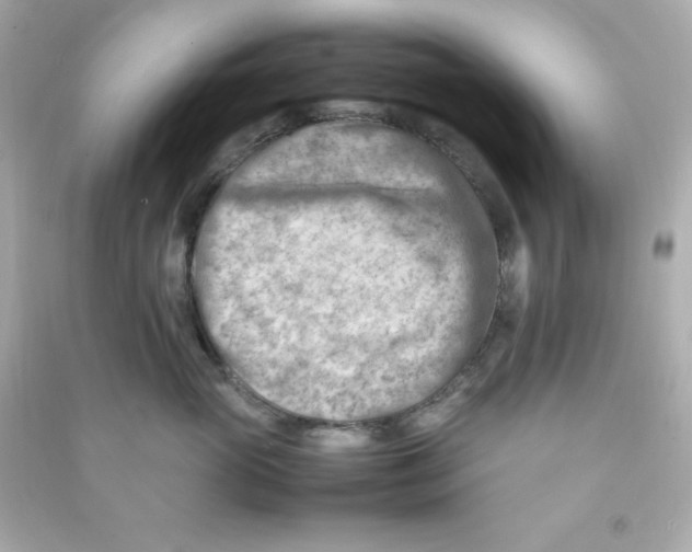 X0000090430765200708102005