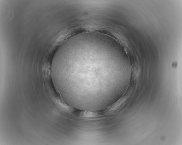 X0000090430766200708102005