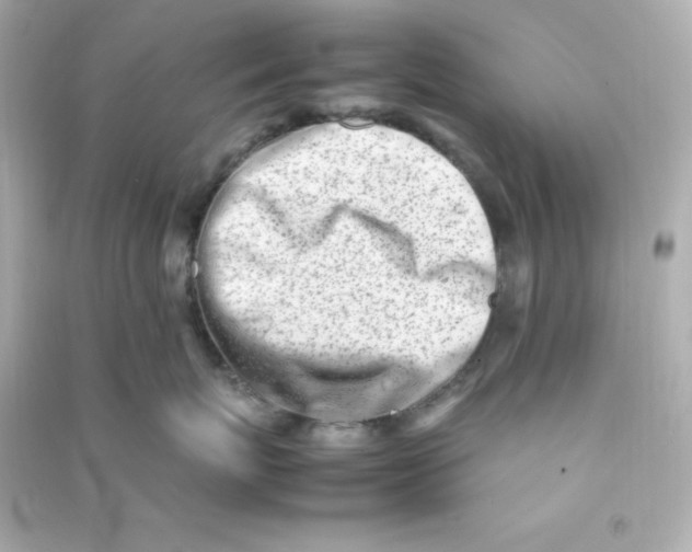 X0000090430767200708102005