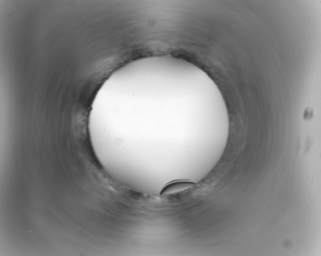 X0000090430768200708102005