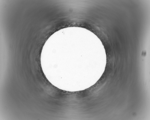 X0000090430769200708102004