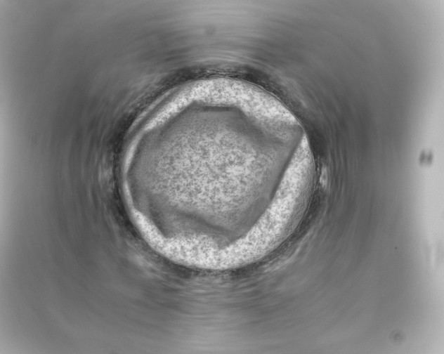 X0000090430771200708102004